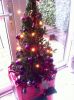 Filename=poppen.jpg
Filesize=76KB
Dimensions=550x737
Date added=Jan 01, 2017 poppen.jpg