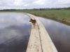 Filename=quandy-15.jpg
Filesize=90KB
Dimensions=550x412
Date added=Aug 09, 2014 quandy-15.jpg