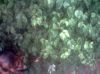 Filename=quandy-36.jpg
Filesize=46KB
Dimensions=550x412
Date added=Mar 12, 2011 quandy-36.jpg