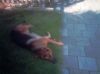 Filename=quandy-41.jpg
Filesize=26KB
Dimensions=550x412
Date added=Apr 29, 2011 quandy-41.jpg
