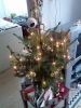 Filename=remy.jpg
Filesize=103KB
Dimensions=550x733
Date added=Feb 09, 2013 remy.jpg