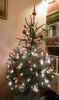 Filename=rietepietz~0.jpg
Filesize=153KB
Dimensions=550x925
Date added=Dec 23, 2014 rietepietz~0.jpg