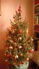 Filename=rietepiez.jpg
Filesize=161KB
Dimensions=550x980
Date added=Dec 21, 2011 rietepiez.jpg