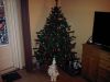 Filename=royarne.jpg
Filesize=44KB
Dimensions=550x413
Date added=Dec 25, 2011 royarne.jpg