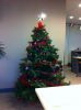 Filename=royarne2.jpg
Filesize=75KB
Dimensions=550x736
Date added=Dec 25, 2011 royarne2.jpg