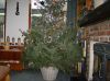 Filename=s6000667~0.jpg
Filesize=98KB
Dimensions=550x412
Date added=Dec 30, 2010 s6000667~0.jpg