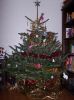 Filename=sapin_1daisy~1.jpg
Filesize=69KB
Dimensions=400x534
Date added=Dec 12, 2010 sapin_1daisy~1.jpg