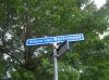 Filename=sdc10012.jpg
Filesize=76KB
Dimensions=550x412
Date added=Oct 06, 2017 sdc10012.jpg