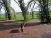 Filename=sdc10045.jpg
Filesize=68KB
Dimensions=550x412
Date added=Dec 09, 2017 sdc10045.jpg