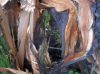 Filename=sdc10063.jpg
Filesize=46KB
Dimensions=550x412
Date added=Dec 09, 2017 sdc10063.jpg