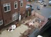 Filename=sdc10108.jpg
Filesize=42KB
Dimensions=550x412
Date added=Dec 10, 2017 sdc10108.jpg