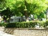 sdc11829.jpg