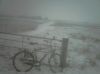 sneeuw-429.jpg