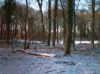 Filename=sneeuw-555.jpg
Filesize=67KB
Dimensions=550x412
Date added=Jan 14, 2017 sneeuw-555.jpg