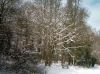 Filename=sneeuw-640.jpg
Filesize=72KB
Dimensions=550x412
Date added=Dec 07, 2020 sneeuw-640.jpg