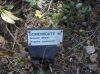 Filename=stadspark-3.jpg
Filesize=128KB
Dimensions=550x412
Date added=Jan 14, 2017 stadspark-3.jpg