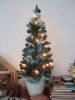 Filename=t.jpg
Filesize=82KB
Dimensions=550x733
Date added=Dec 25, 2011 t.jpg