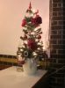 Filename=t2.jpg
Filesize=104KB
Dimensions=550x734
Date added=Dec 13, 2014 t2.jpg