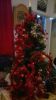 Filename=terrebel.jpg
Filesize=117KB
Dimensions=550x979
Date added=Feb 02, 2013 terrebel.jpg