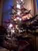 Filename=terrence.jpg
Filesize=68KB
Dimensions=550x733
Date added=Dec 23, 2015 terrence.jpg