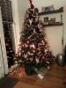 Filename=tessa_1.jpg
Filesize=72KB
Dimensions=550x733
Date added=Feb 09, 2013 tessa_1.jpg