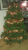 Filename=teun.jpg
Filesize=104KB
Dimensions=550x976
Date added=Dec 29, 2011 teun.jpg