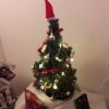 Filename=trees_1.jpg
Filesize=27KB
Dimensions=550x550
Date added=Dec 24, 2016 trees_1.jpg