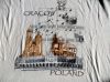 Filename=tshirt-23.jpg
Filesize=130KB
Dimensions=550x412
Date added=Nov 12, 2016 tshirt-23.jpg