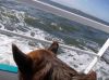 Filename=vlieland-3.jpg
Filesize=49KB
Dimensions=550x412
Date added=Nov 12, 2016 vlieland-3.jpg